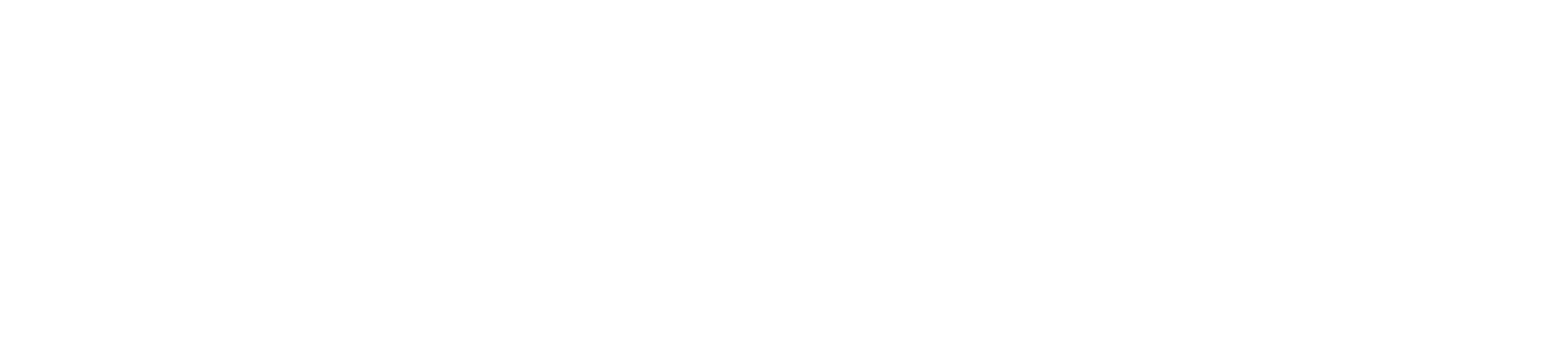 Pro Decorators White logo - no background